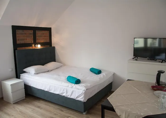 Checz Goscinna- Pokoje,sauna,jacuzzi, Sala Konferencyjna * Grzybno